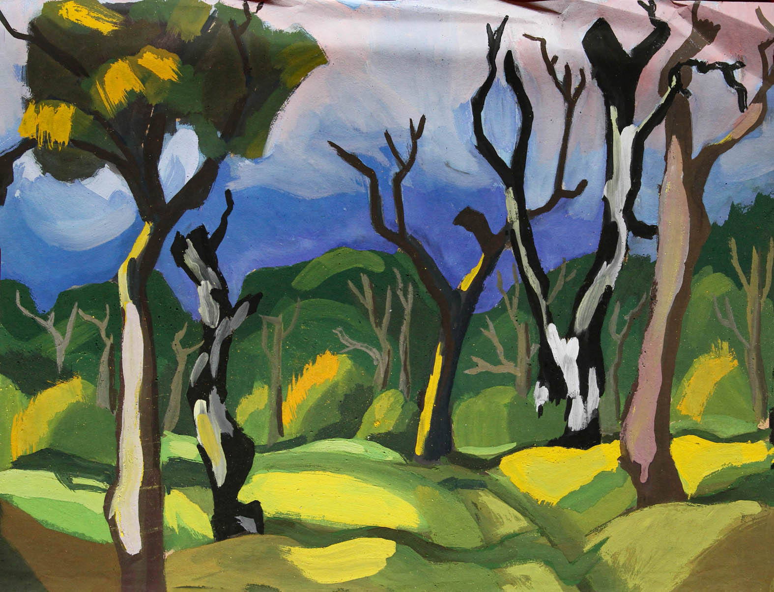 Rừng nguyên sinh